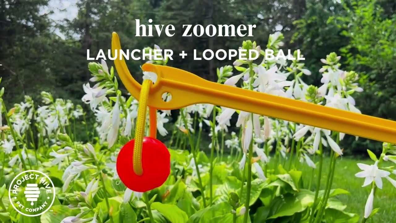 hive zoomer dog toy launcher & looped ball – Project Hive Pet