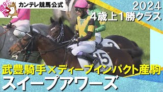 武豊騎手騎乗のディープインパクト産駒スイープアワーズが快勝！】2024