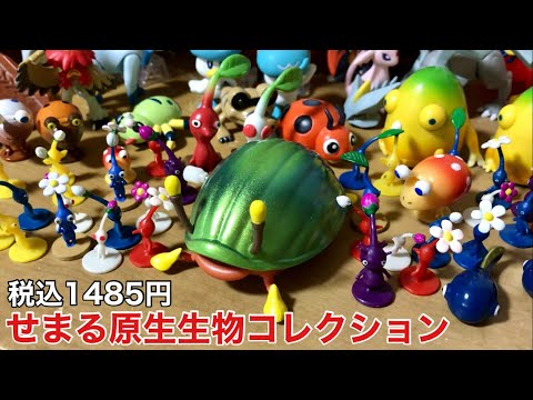 ピクミンを襲わない数少ない原生生物が仲間入り！【開封】ゼンマイ