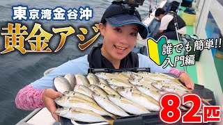 Light Horse Mackerel in Tokyo Bay] How to catch golden horse