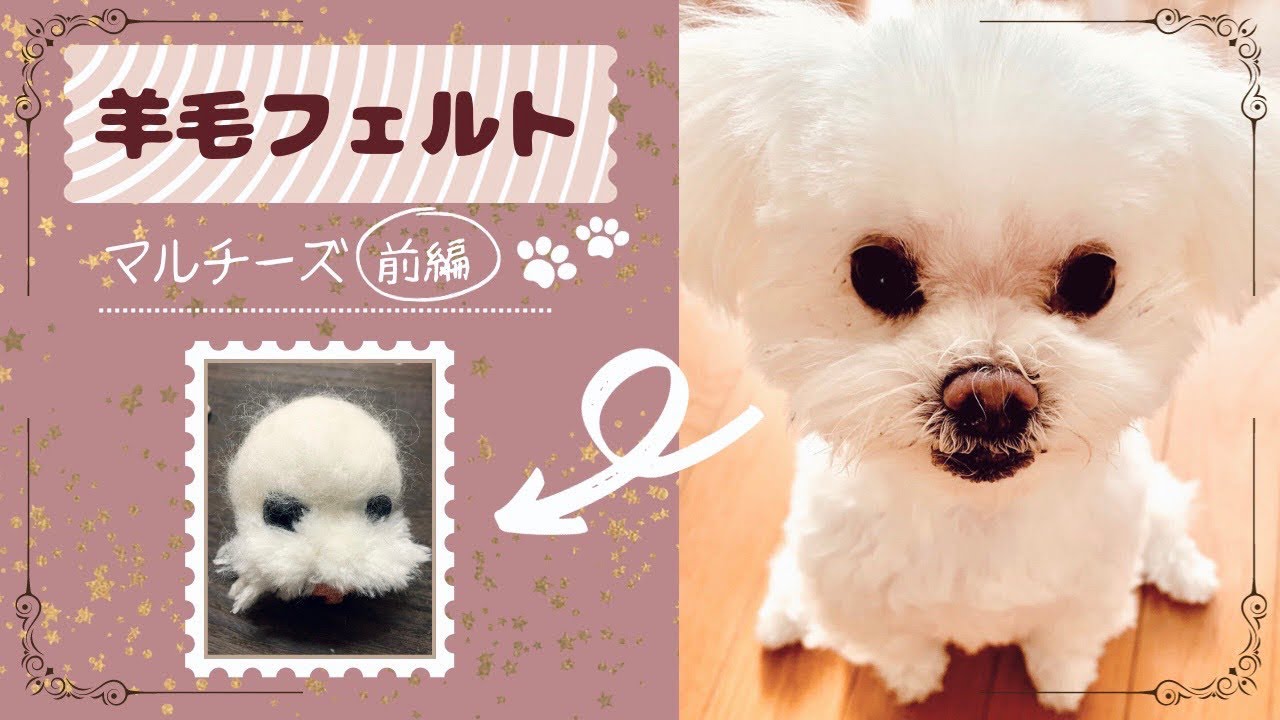 羊毛フェルト】マルチーズを作ってみた【前編】 - YouTube