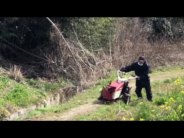ヤンマー 牧草モアで あぜ道を刈る YRM821 Mower - YouTube