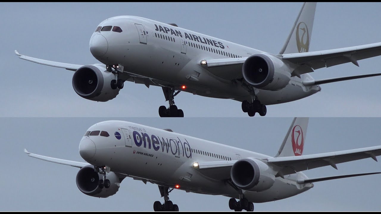 JAL 金の鶴丸とワンワールド塗装の787 | Golden Tsurumaru | Oneworld