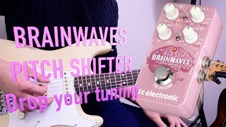 tc electronic/BRAINWAVES PITCH SHIFTER ダウンチューニング