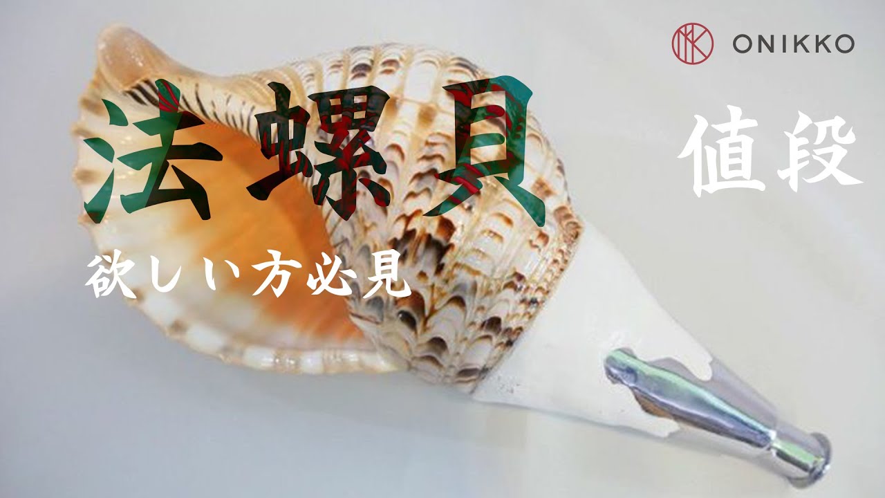 法螺貝 欲しい人は必見 新品 国内最大級の品揃えONIKKO Horagai (Conch