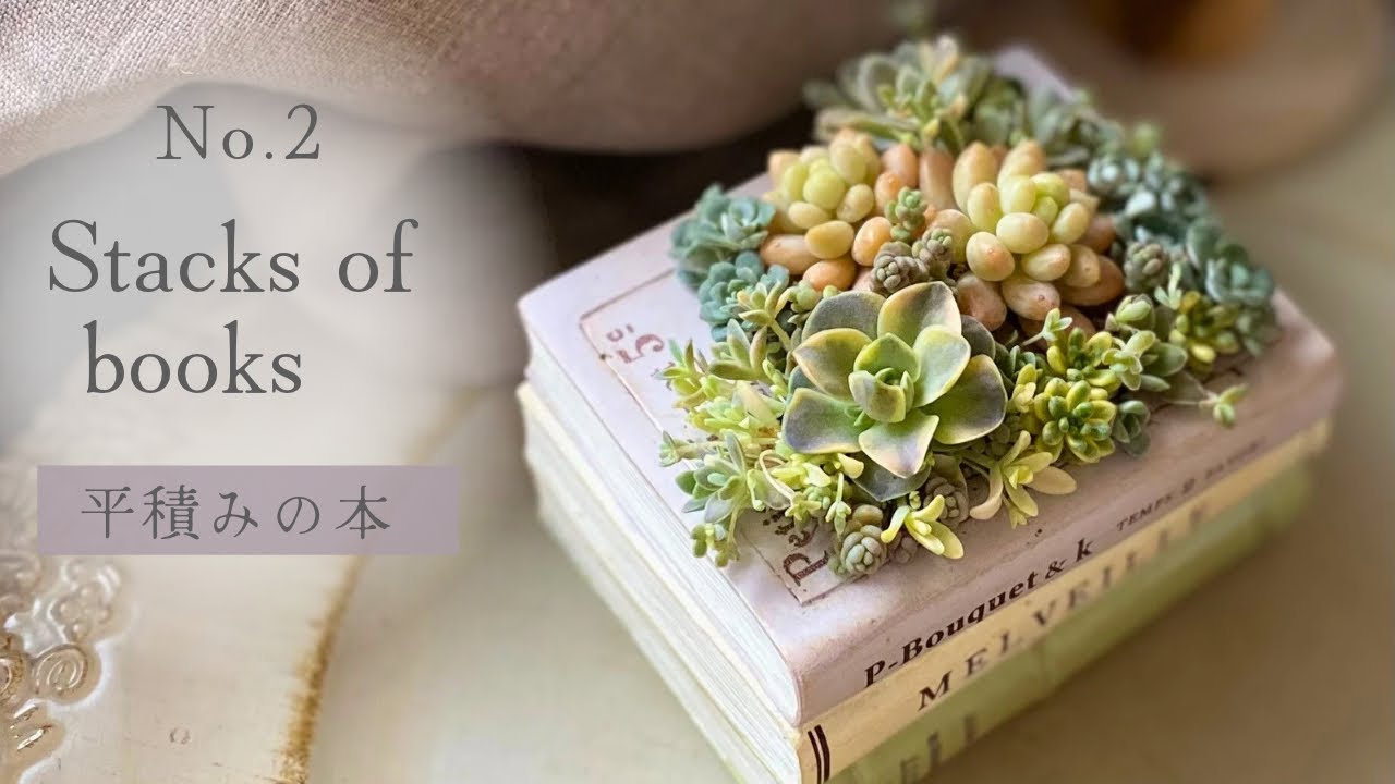 平積みの本』多肉植物 Horticulture Flower Arrangement 多肉寄せ植え