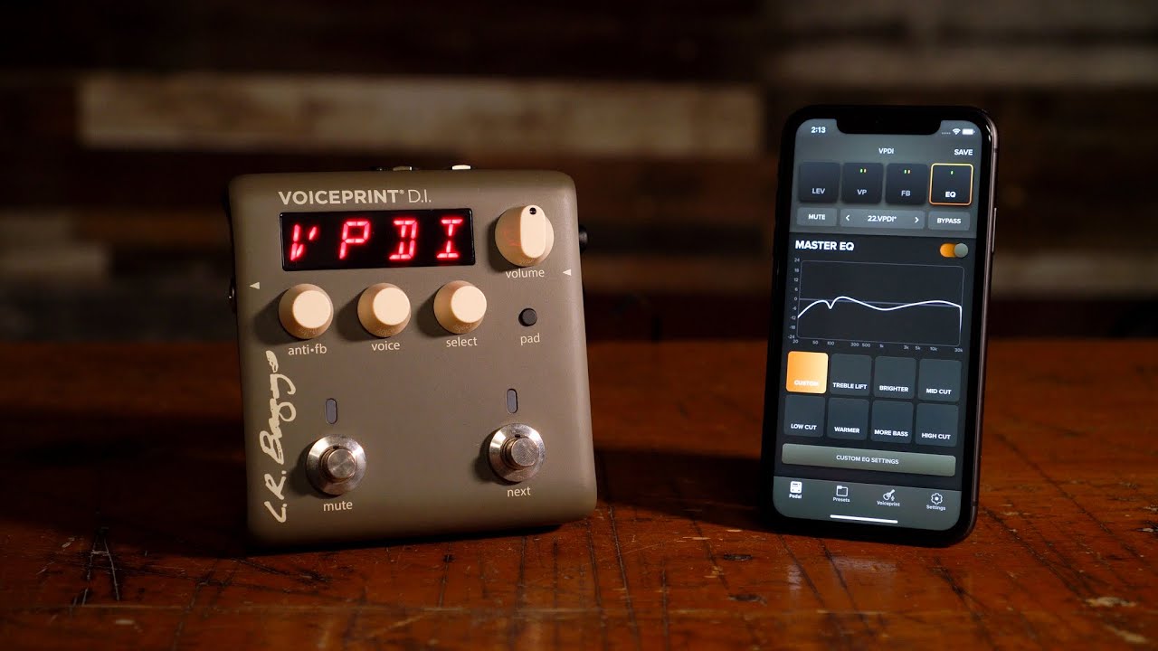 LR Baggs Voiceprint DI Acoustic Guitar Impulse Response Foot Pedal