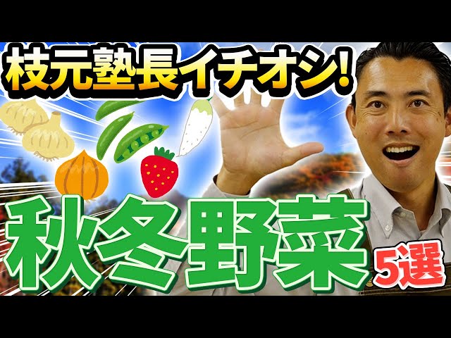 Gardening Basics] Introducing 5 autumn/winter vegetables