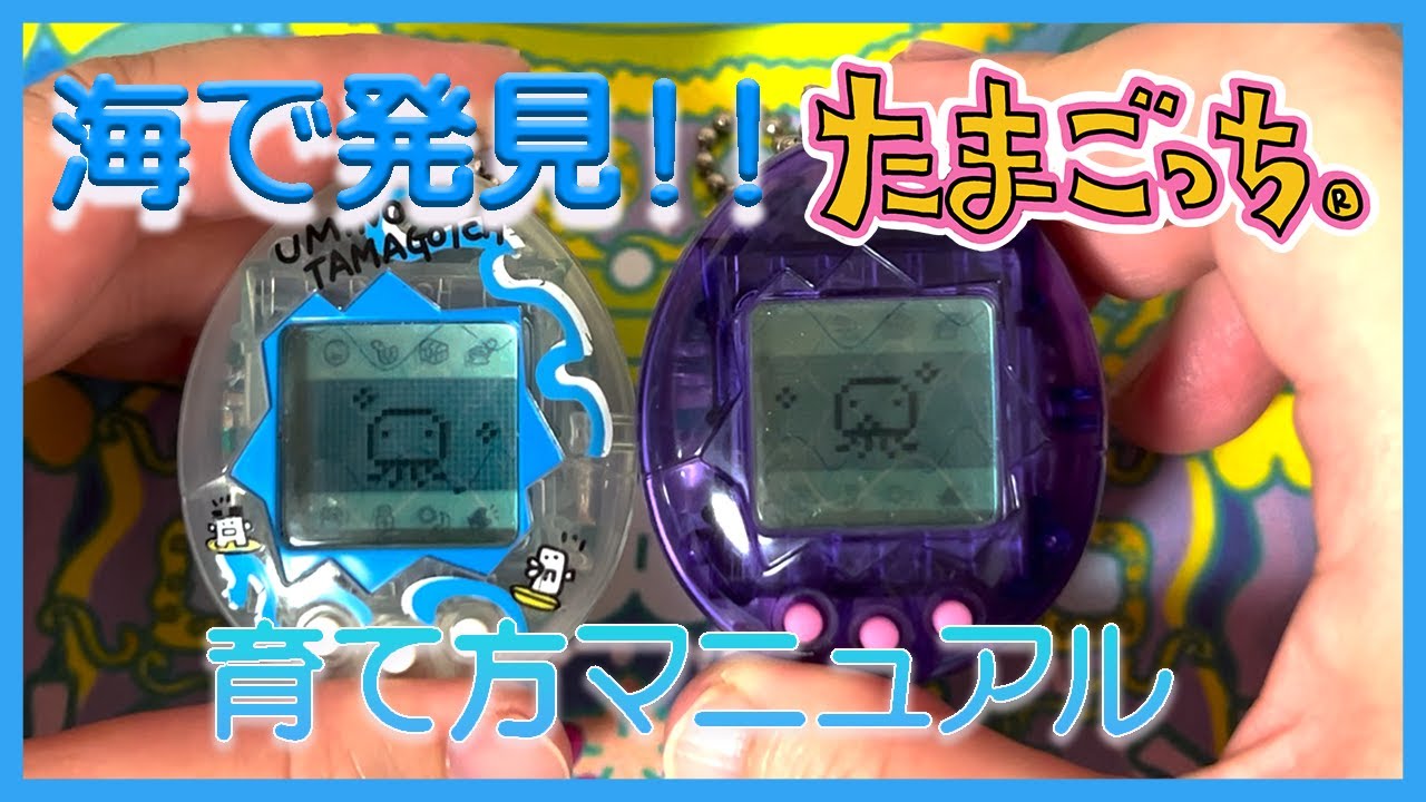 たまごっち育成動画】海で発見‼︎たまごっち。これであなたも思い通り