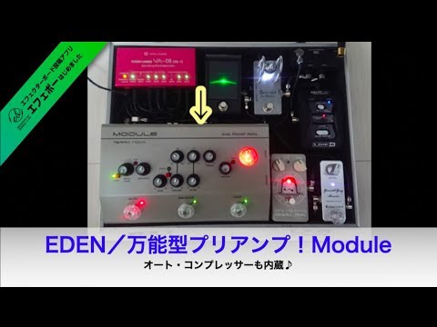 エデンのベース用プリアンプ・Module搭載ボード♪【エフェボー