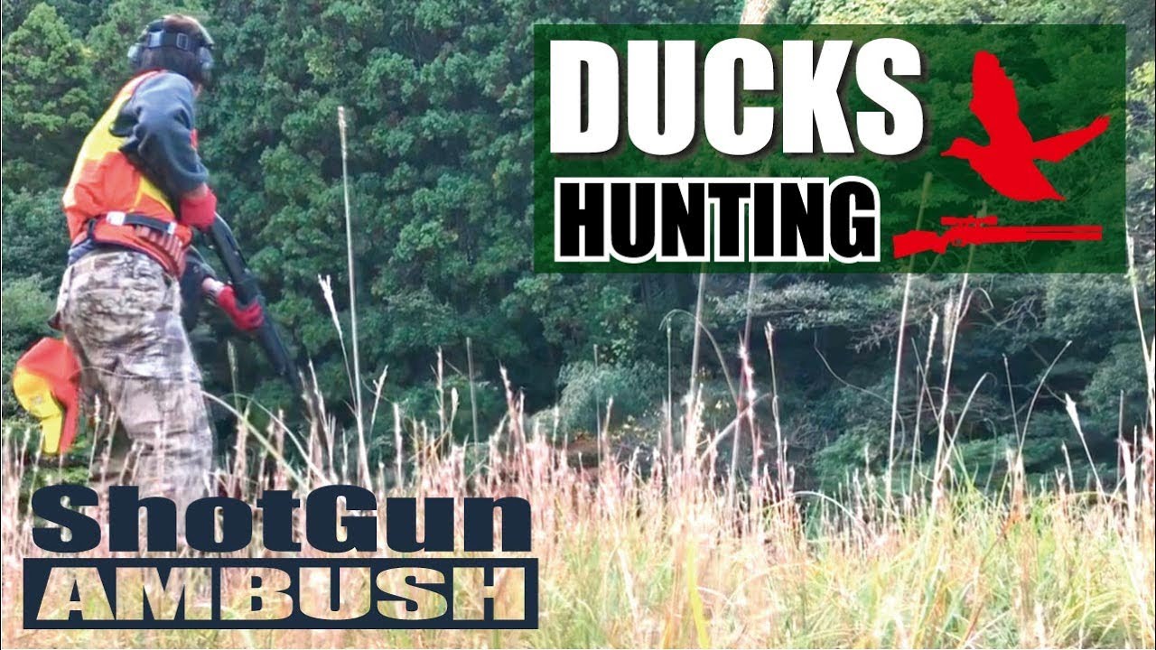 DucksHunting Japan Ambush ShotGun! - YouTube