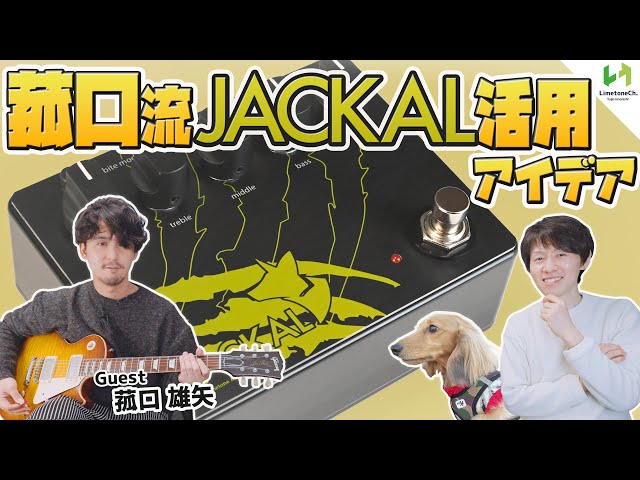 ついに出来たハイゲインペダル