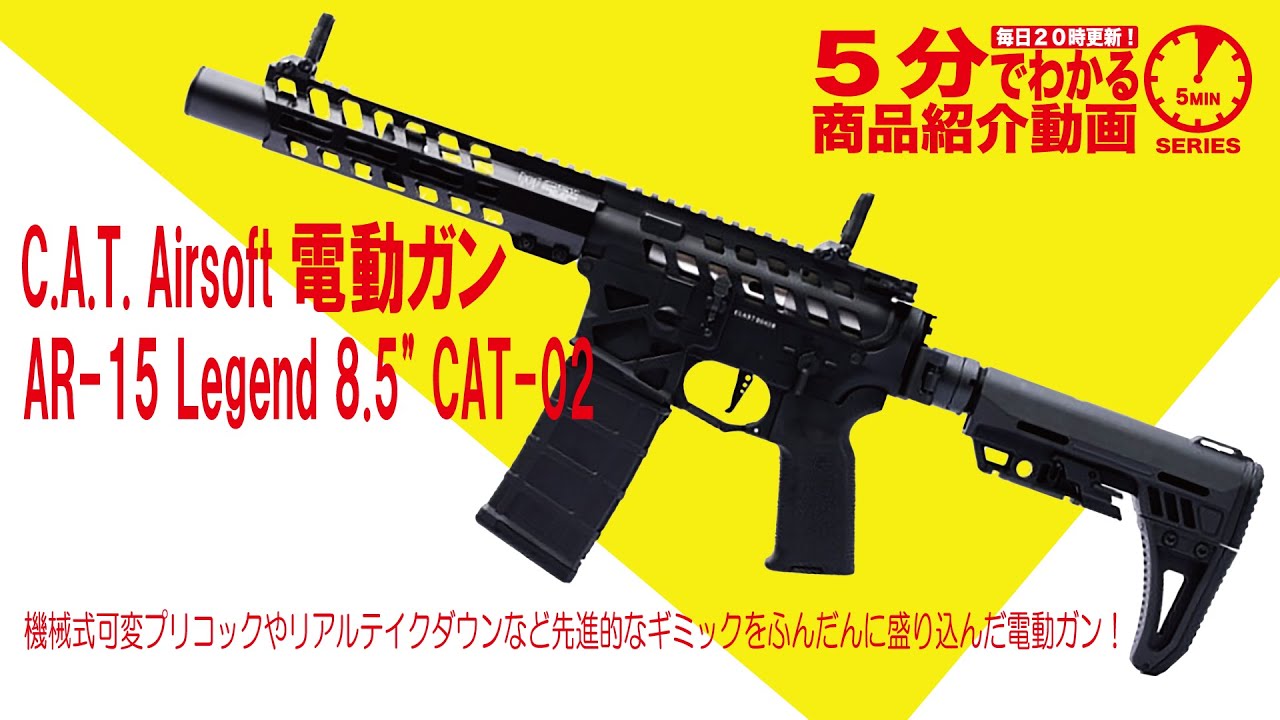 5分でわかる】C.A.T. Airsoft 電動ガン AR-15 Legend 8.5