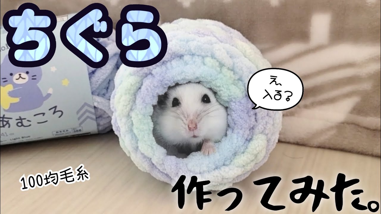 ちぐら】お腹が弱いハムにぬくぬくハウス作ってみた/I made a hamster