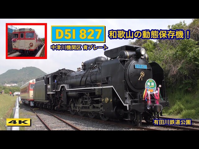 D51 827 有田川鉄道公園 キハ58003乗車体験 2019.5【4K】 - YouTube