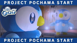 プロジェクトポッチャマ | ポケモン
