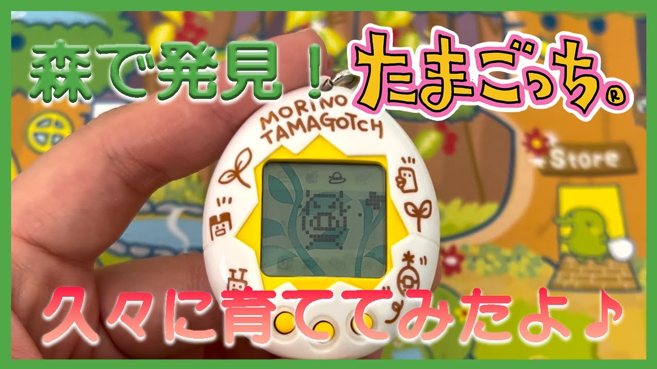 たまごっち育成動画】森で発見‼︎たまごっち育ててみたよ♪ - YouTube