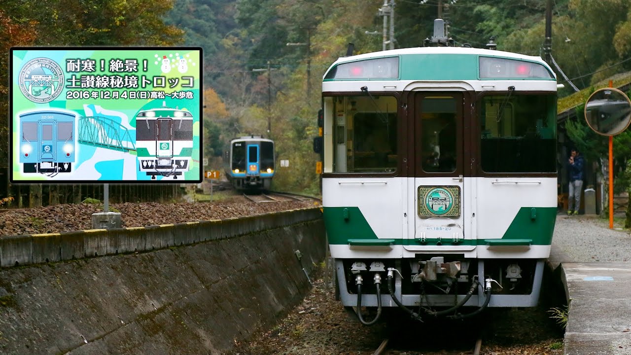 JR四国 大歩危トロッコ 