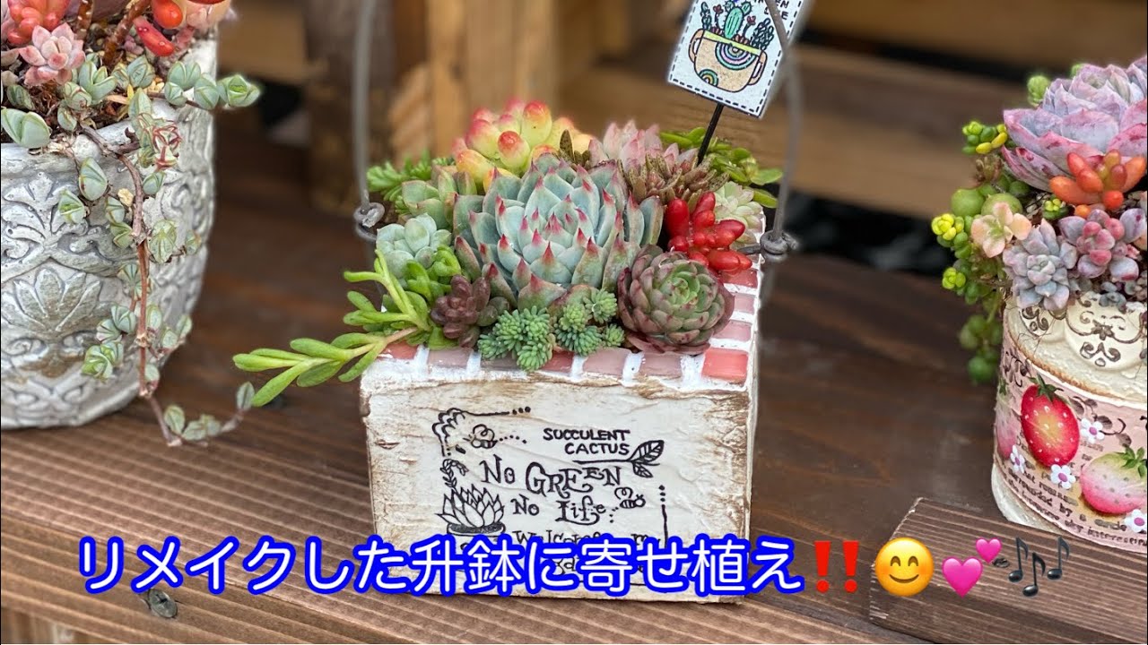 リメイクした升鉢に寄せ植え😊💕🎶 - YouTube