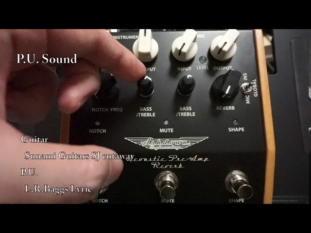 Ashdown Acoustic Pre-Amp Reverb【マイク録り×ライン録り比較】 - YouTube