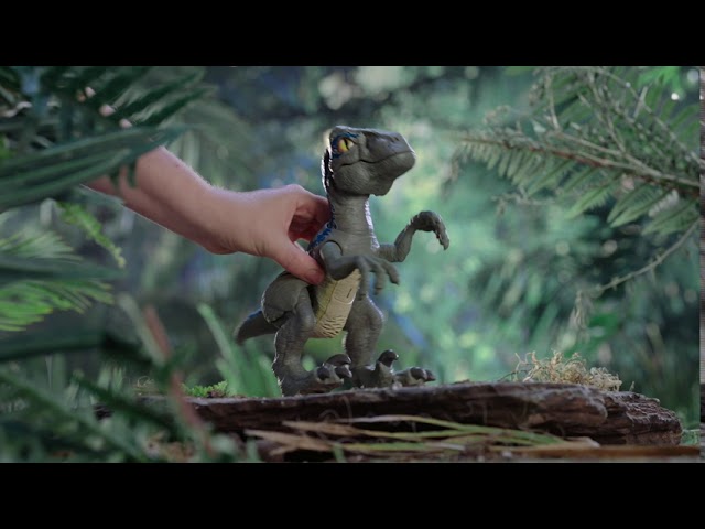 トイザらス - ジュラシック・ワールド ベビーブルー - YouTube