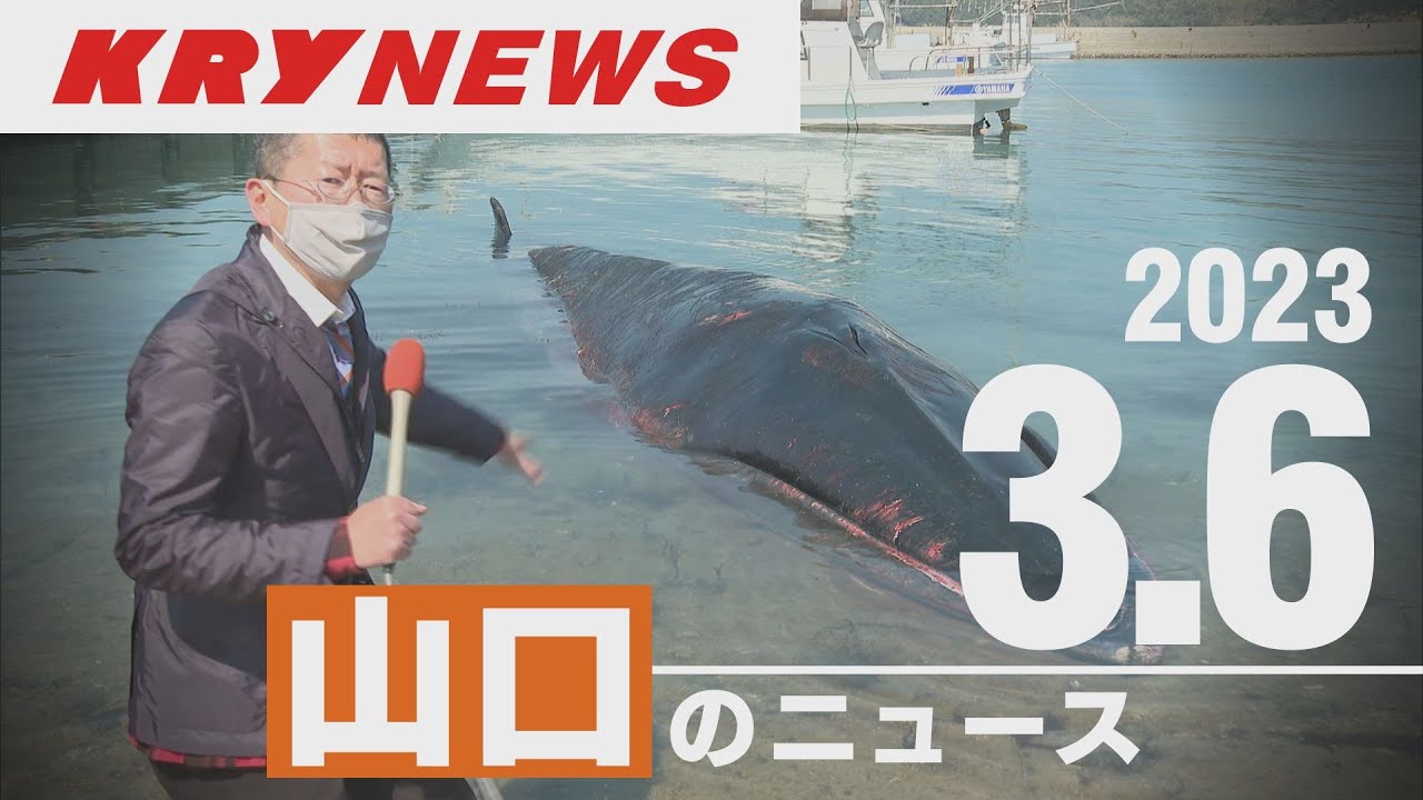 KRY News Live] Whale washes up at fishing port in Nagato / First