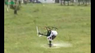 ESky Belt-CP Electric RC Helicopter 3D Aerobatic Ready-To-Fly-To