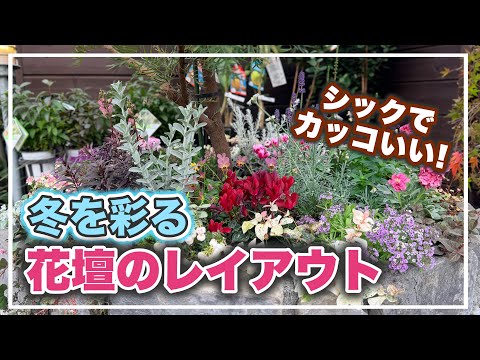 A flower bed planted to add a chic touch to winter! [Antique