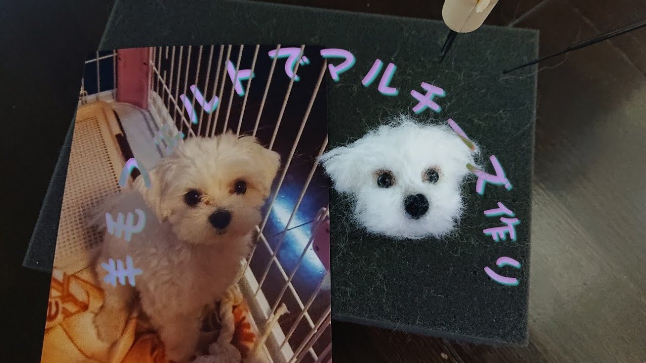 羊毛フェルトでマルチーズ作ってみました - YouTube