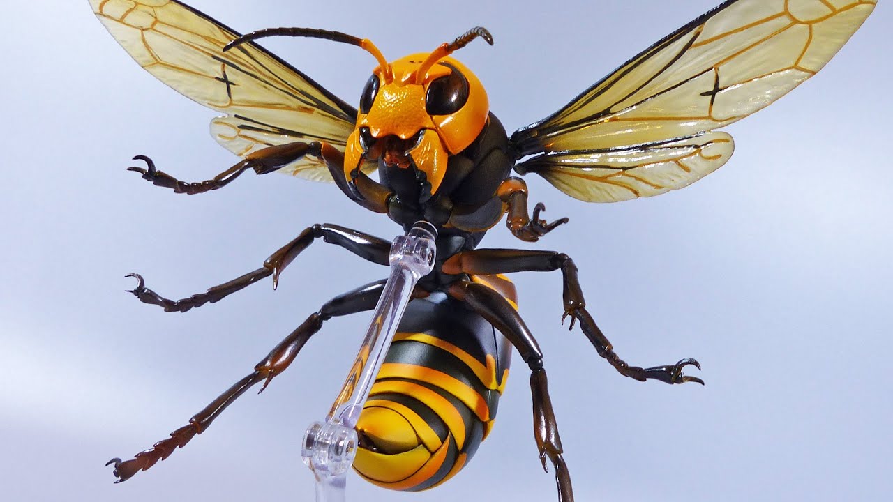 リボジオのオオスズメバチを紹介するよ【リボジオ オオスズメバチ