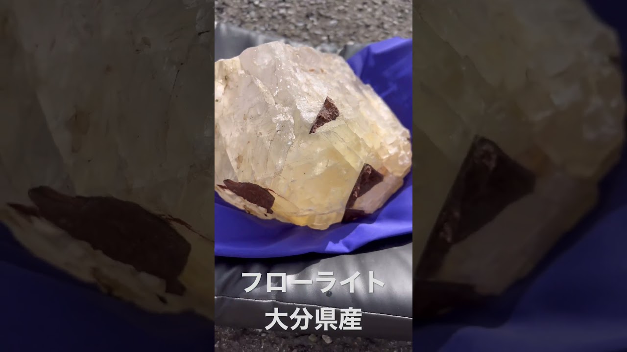 フローライト 蛍石 大分県 TM-686 | つぐこみねらるず ｜鉱物・原石