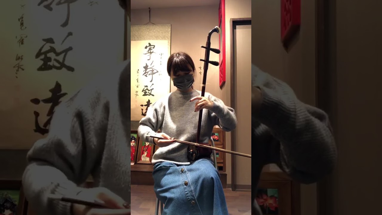 特選高級紫檀二胡 N-ST43-0105（試聴可） - 二胡の通販、卸販売なら