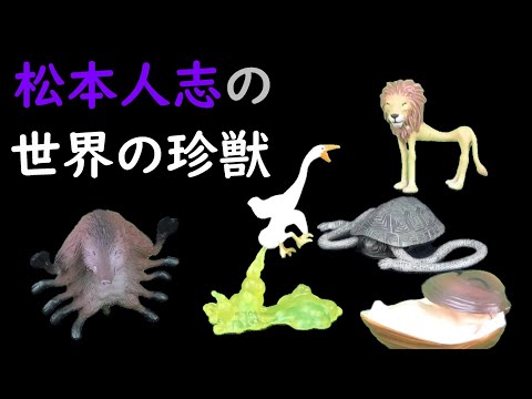 松本人志の「世界の珍獣」 おかしなオリジナルアニマルご紹介！ - YouTube