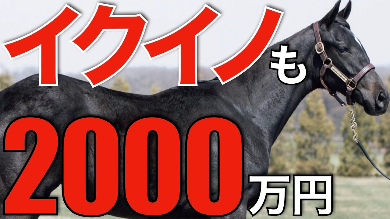 大種牡馬へ】怪物イクイノックスは父と同じく種付け料2,000万円