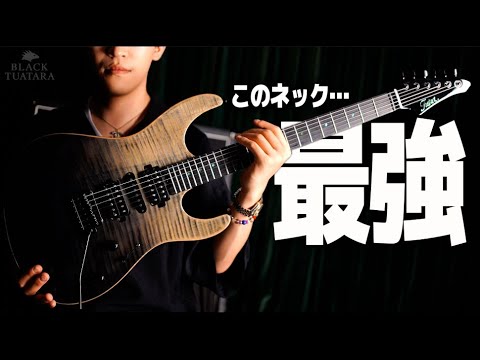 ウェンジネック、エボニー指板、ステンレスフレット、アッシュボディで