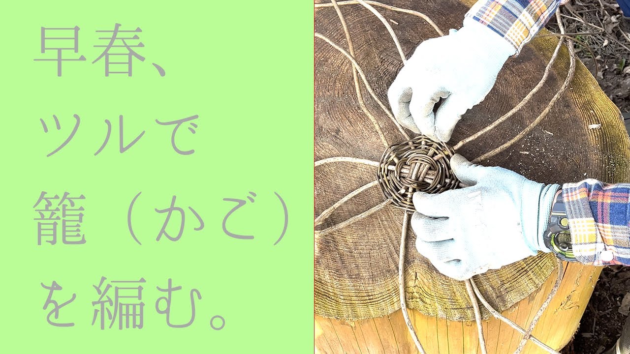 ツヅラフジでかご作り - YouTube
