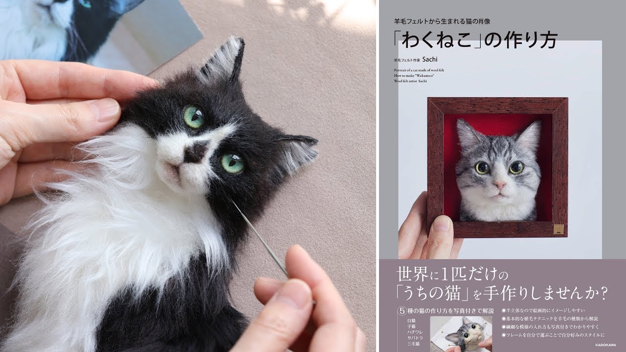 My how-to book has a release date! - YouTube