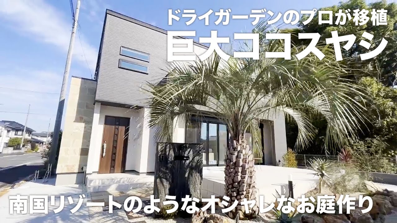 庭づくり】北関東で巨大ココスヤシを移植？！ドライガーデンのプロが