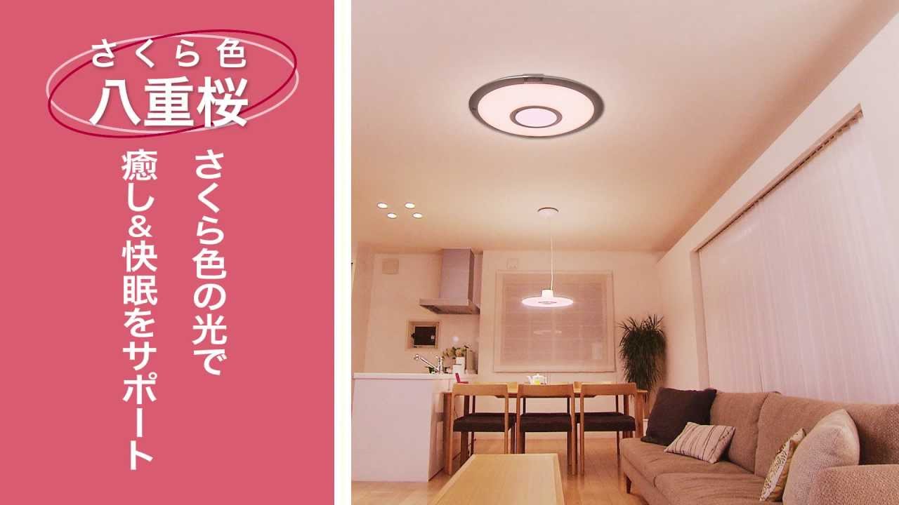 さくら色LED照明のご紹介：シャープ - YouTube