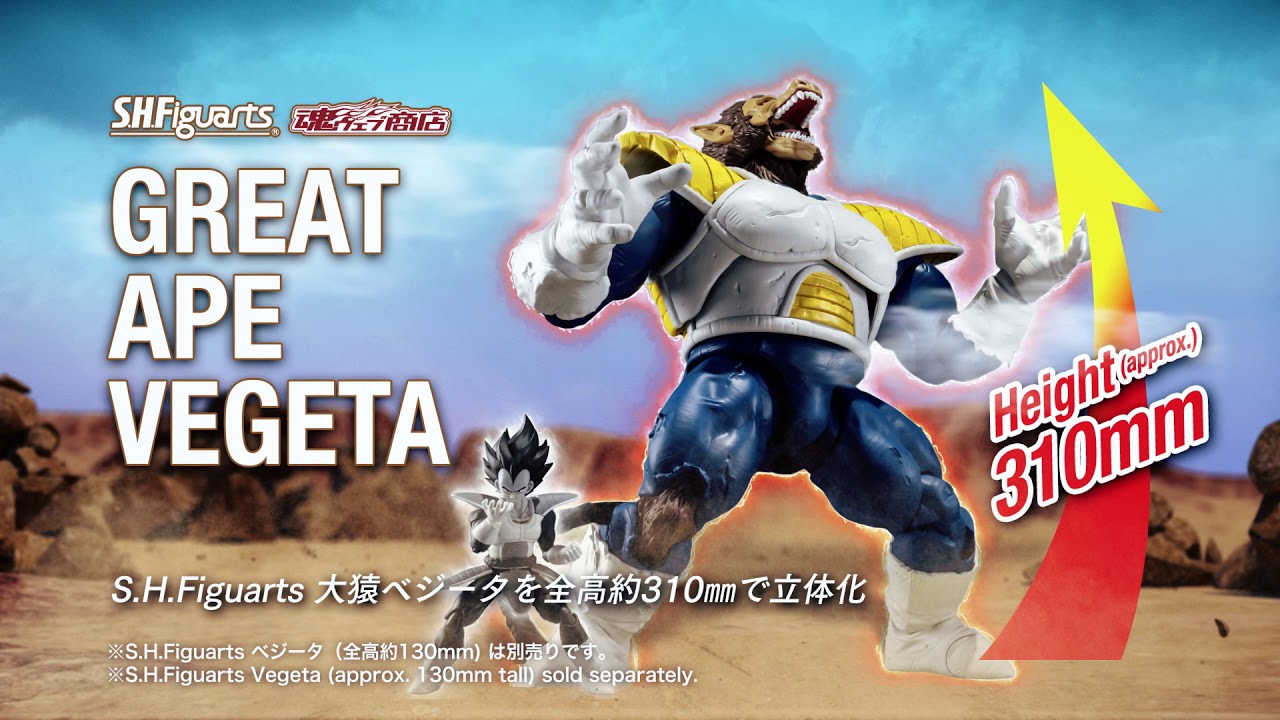 S.H.Figuarts 最大級の巨体！大猿ベジータの可動フィギュア化ついに
