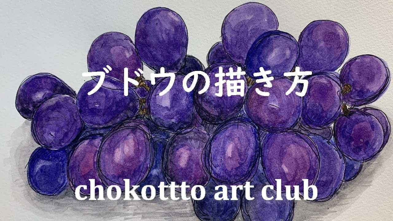 ブドウの描き方｜chokottto美術部