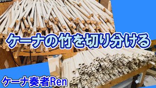 ケーナの竹を切り分ける作業2024【ケーナ奏者Ren】 - YouTube