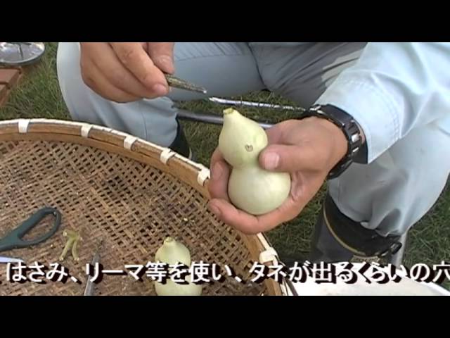 ひょうたんの作り方1 - YouTube