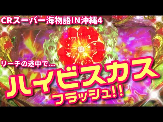 沖海4ミドル》ワリンリーチの途中で「ハイビスカスフラッシュ