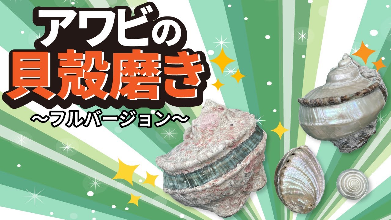 驚くべき変化!!!!】あわびの貝殻磨き～フルバージョン～ - YouTube