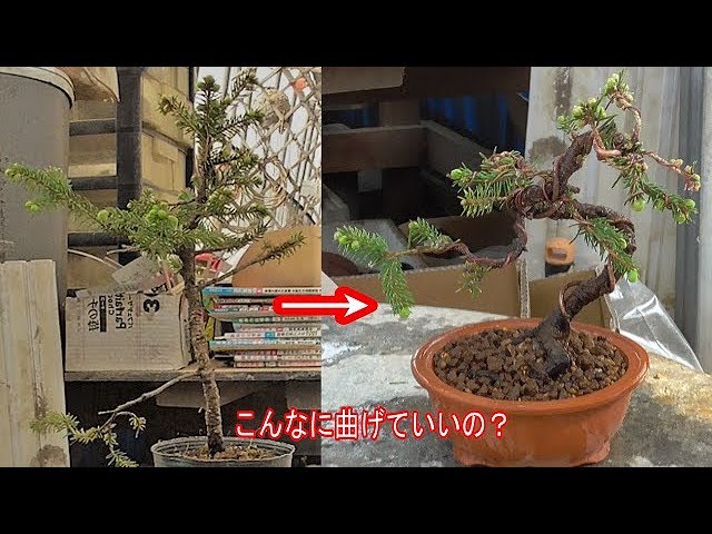 そんなに曲げて大丈夫？ - YouTube