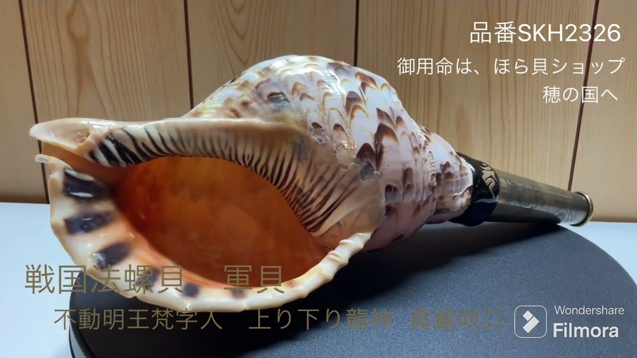 法螺貝（ほら貝）販売のお店