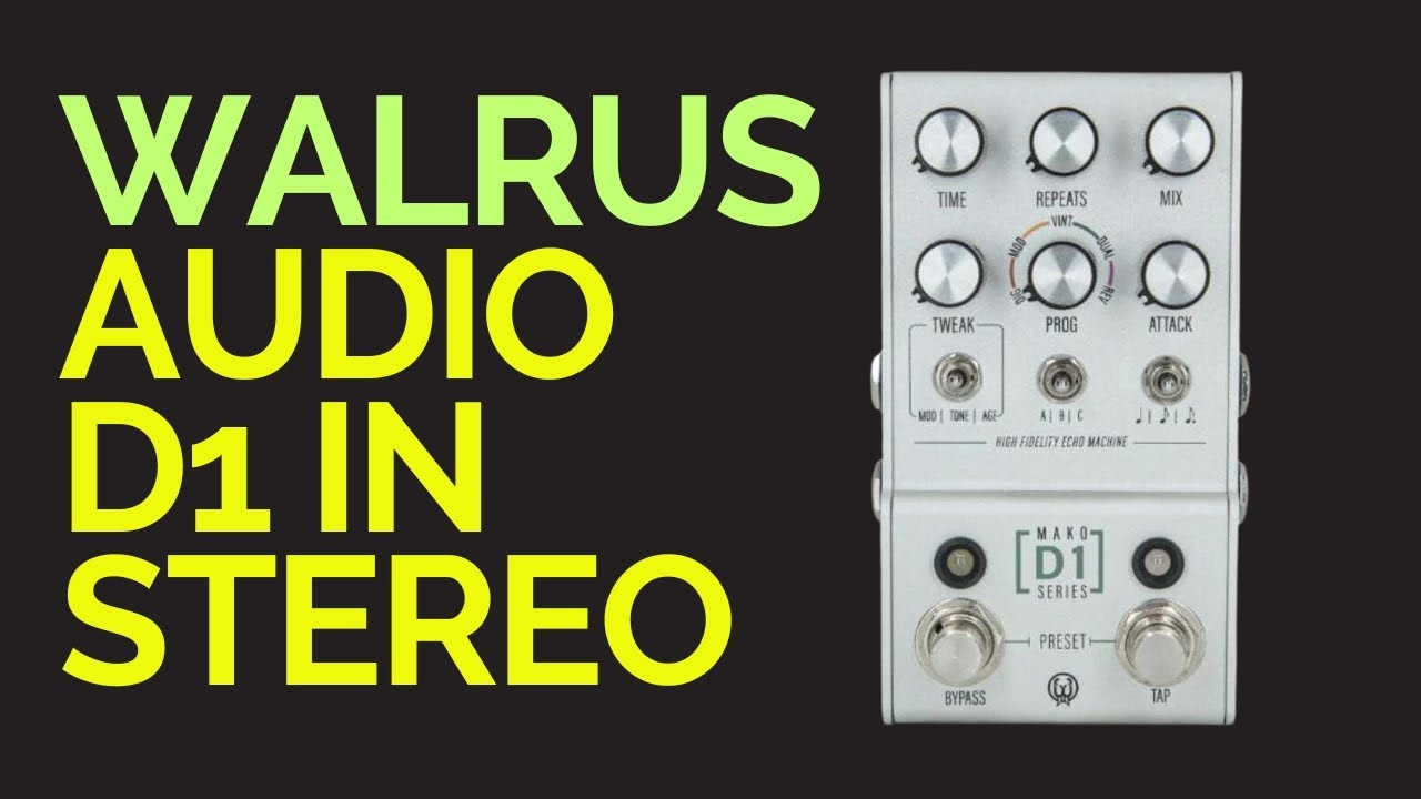 Walrus Audio D1: The Stereo Delay Pedal - Watch What It Can Do