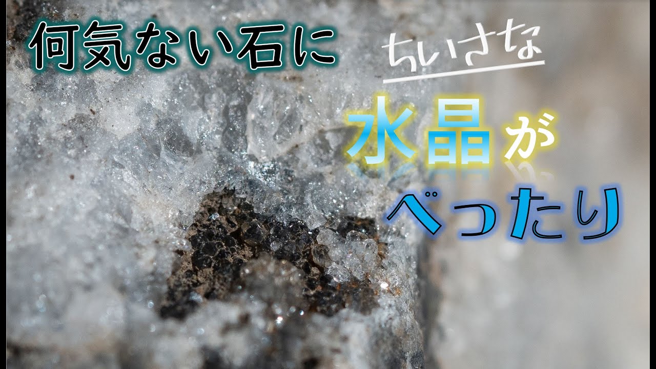 伊豆で拾った汚い石には 小さな美しい世界があった - YouTube