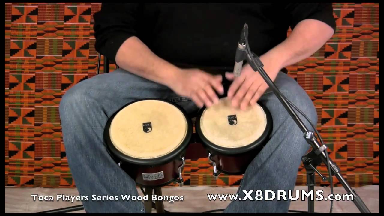 Bongos at X8 Drums: Toca Player's Series Wood Bongos 2700 - YouTube